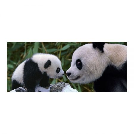 40127 - Panda Bear with Cub - 34 x 14