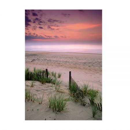 40262 - Sunrise, Folly Beach, South Carolina - 17 x 25