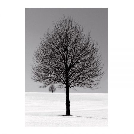 40345 - Winter Tree - 10 x 14