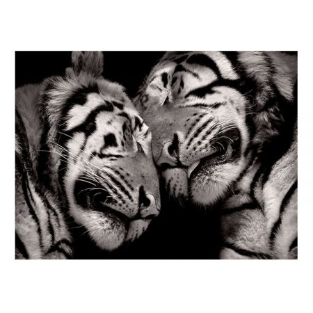 40448 - Sleeping Tigers 17 x 12