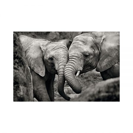 42597 - Elephants in Love 25 x 17