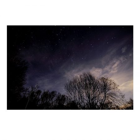 Siegopidgin - Starry Sky